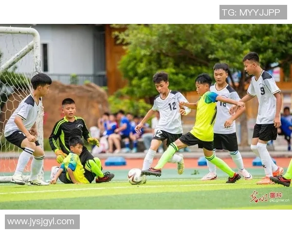 中国足球明星在绿茵场上的精彩瞬间与踢球技艺展示